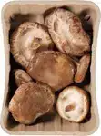 Shiitake