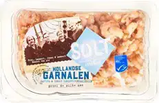 Hollandse Garnalen