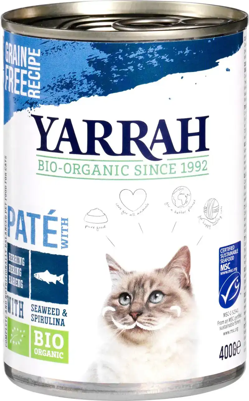Kattenpaté vis