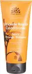 Spicy orange blossom conditioner - beschadigd haar
