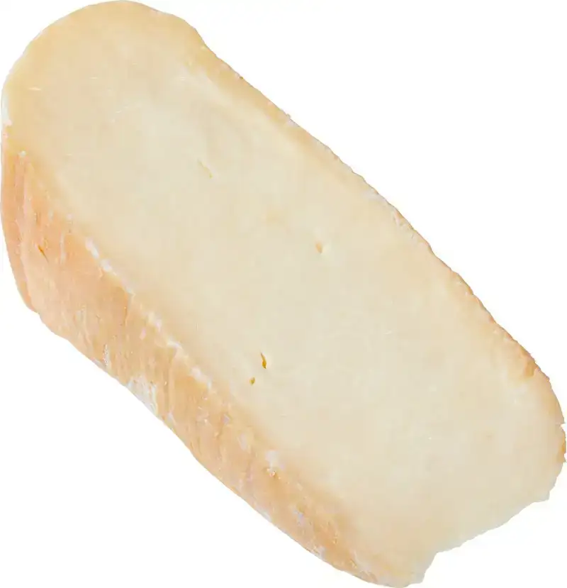 Taleggio