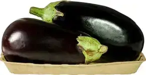 Aubergine