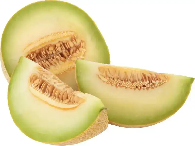 Galiameloen