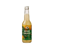 Kombucha limoen & gember