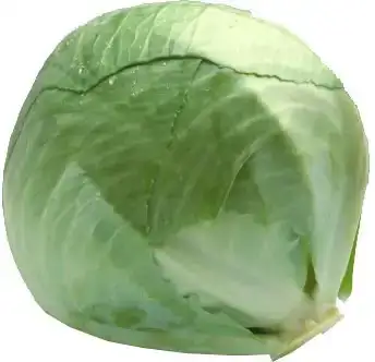 Witte kool