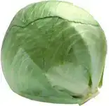 Witte kool