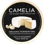 Camelia