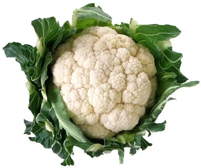 Bloemkool