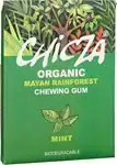 Mayan rainforest chewing gum mint
