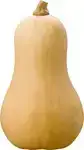Butternut pompoen