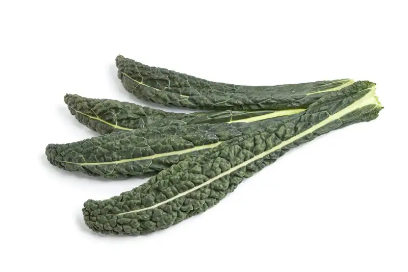 Cavolo nero (palmkool)