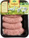 Kipsaucijzen