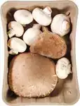 Paddenstoelenmix