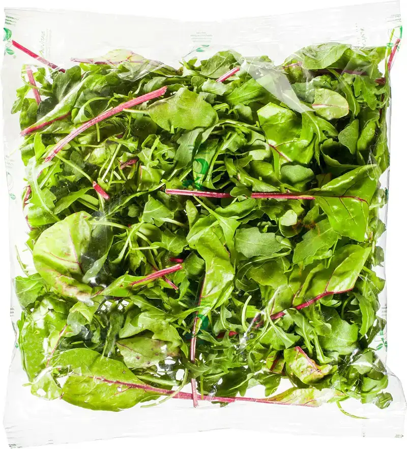 Rucola melange