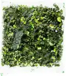 Cavolo nero (zwarte kool)