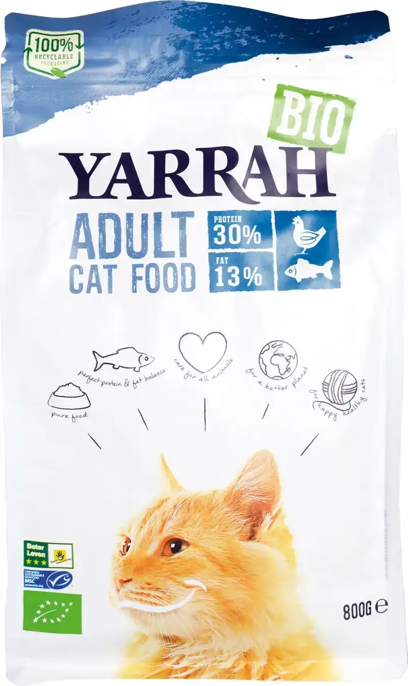 Kattenbrokken adult