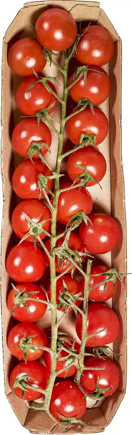Cherry trostomaatjes