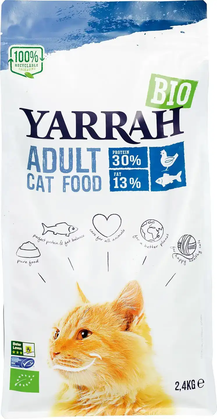 Kattenbrokken adult