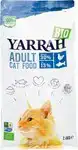 Kattenbrokken adult