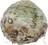 Knolselderij