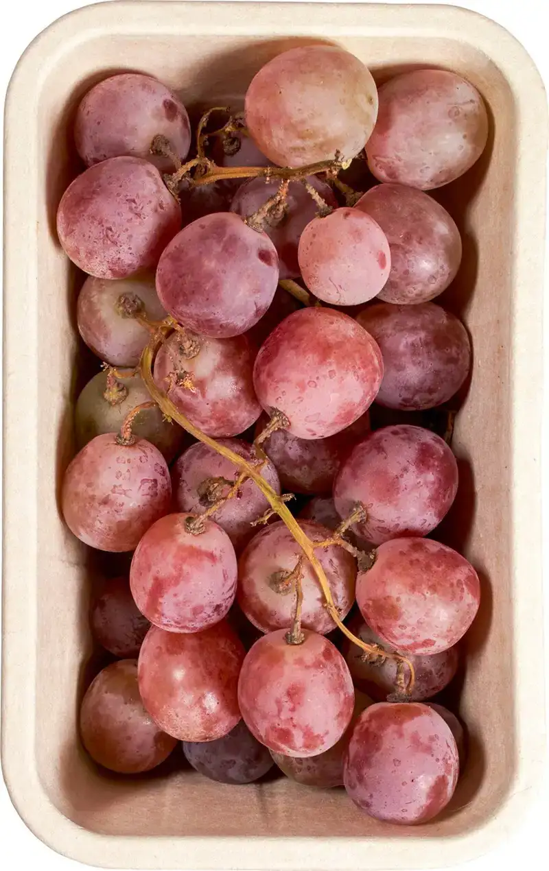 Druiven rood/zwart