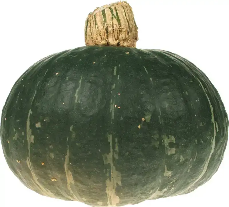 Groene pompoen
