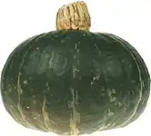 Groene pompoen