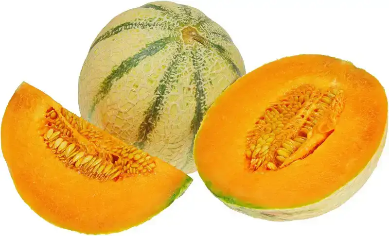 Cantaloupe meloen