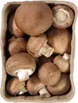 Kastanjechampignons