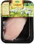 Kipfilet